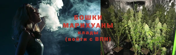 шишки Белая Холуница