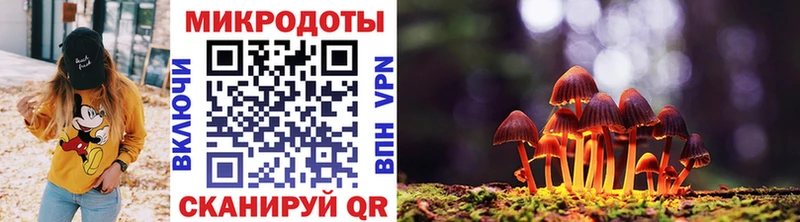 Псилоцибиновые грибы Cubensis  Бобров 